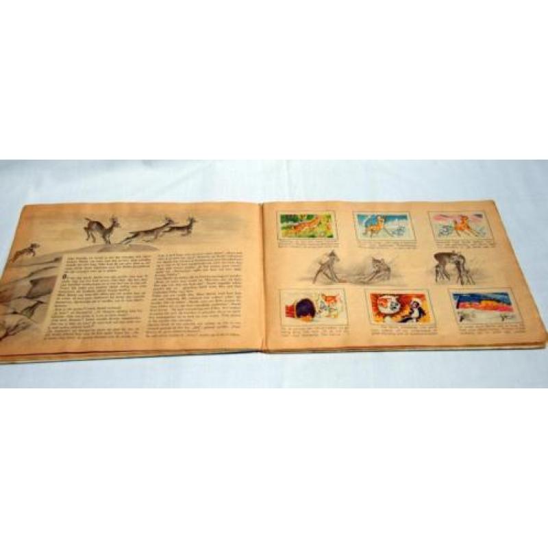 Disney oud Bambi boek