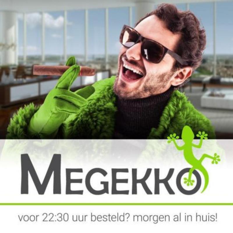 Lenco DVP-937 Draagbare DVD-speler incl hoofdtelefoon