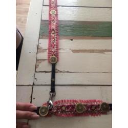 Pomeriaan boomer chihuahua halsbandjes