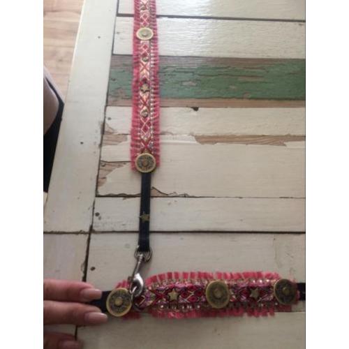 Pomeriaan boomer chihuahua halsbandjes