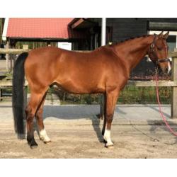 super lieve ruin te koop!