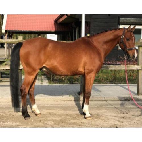 super lieve ruin te koop!