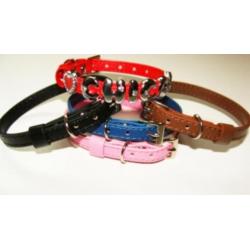 Halsbanden met naam in strass letters of rvs letters vanaf 2