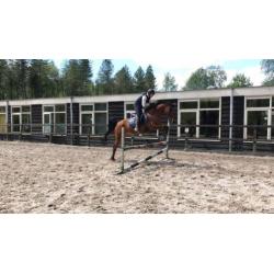 super lieve ruin te koop!