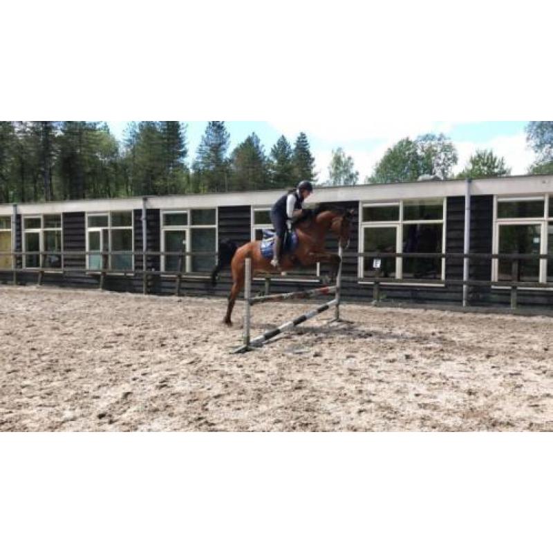 super lieve ruin te koop!