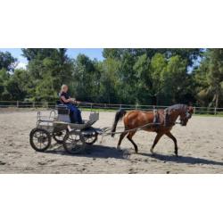 super lieve ruin te koop!
