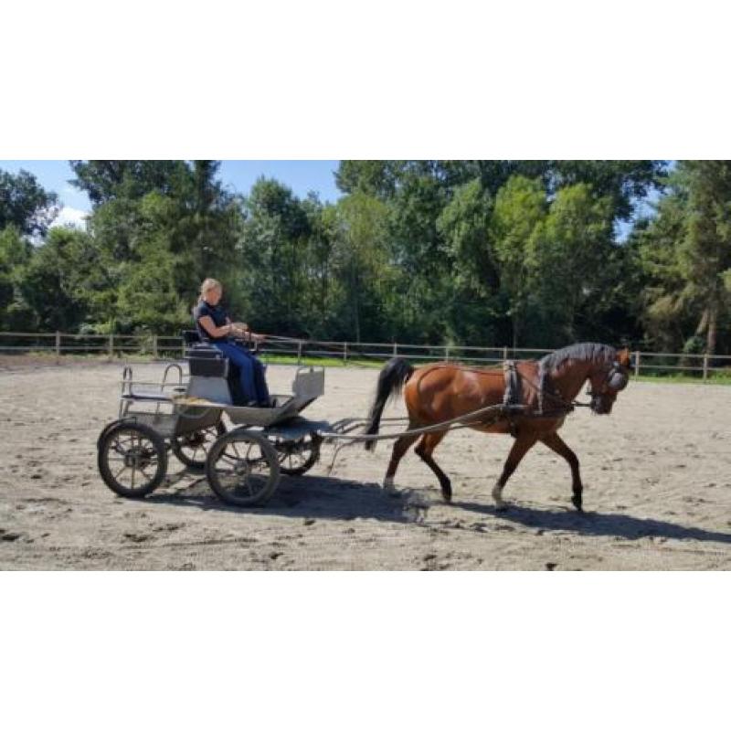 super lieve ruin te koop!