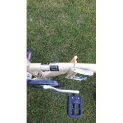 Batavus Etra Versa Vouwfiets