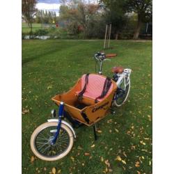 Bakfiets Cangoo downtown blauw/wit