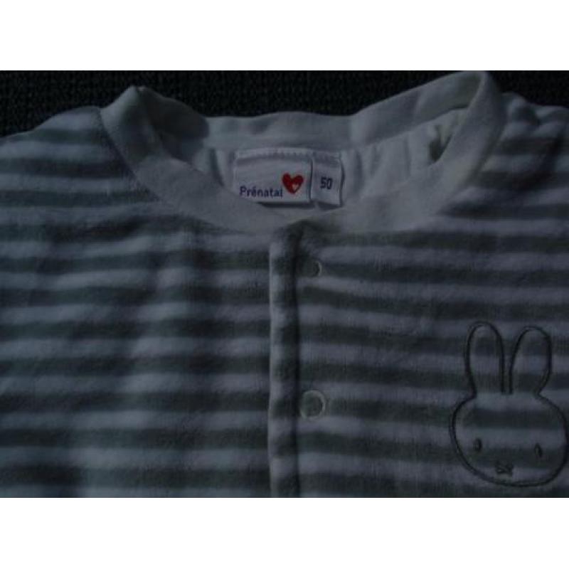 Wit Grijs Nijntje Jasje Vest / Vestje Jas - Prenatal - mt 50