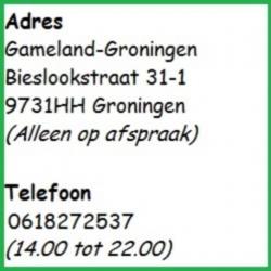 Oplader (GBA SP & NDS) Nieuw